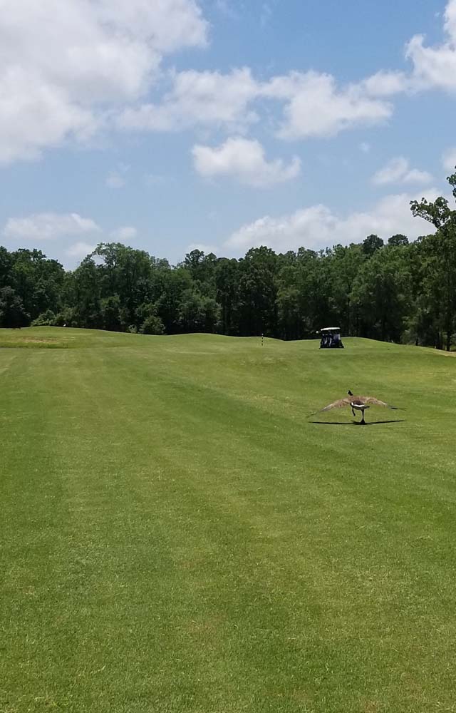 Photos Texarkana Golf